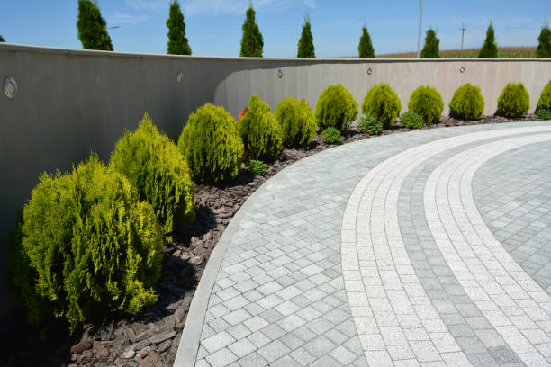 Reasons to Select Us for Your Driveway Paving Requirements in Northridge, OH
